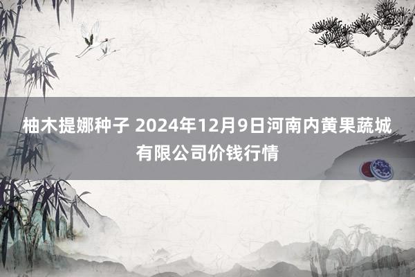 柚木提娜种子 2024年12月9日河南内黄果蔬城有限公司价钱行情