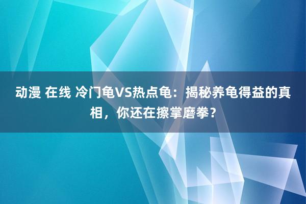 动漫 在线 冷门龟VS热点龟：揭秘养龟得益的真相，你还在擦掌磨拳？