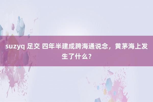 suzyq 足交 四年半建成跨海通说念，黄茅海上发生了什么？