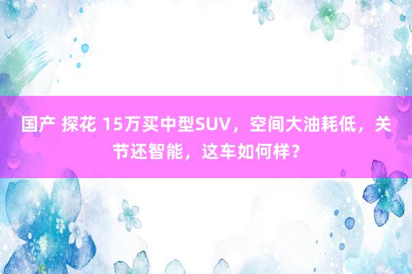 国产 探花 15万买中型SUV，空间大油耗低，关节还智能，这车如何样？