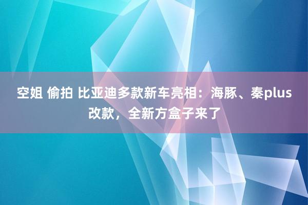 空姐 偷拍 比亚迪多款新车亮相：海豚、秦plus改款，全新方盒子来了