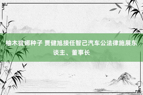 柚木提娜种子 贾健旭接任智己汽车公法律施展东谈主、董事长