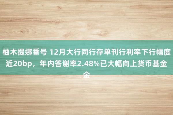 柚木提娜番号 12月大行同行存单刊行利率下行幅度近20bp，年内答谢率2.48%已大幅向上货币基金