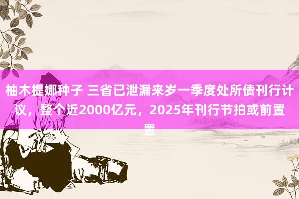 柚木提娜种子 三省已泄漏来岁一季度处所债刊行计议，整个近2000亿元，2025年刊行节拍或前置