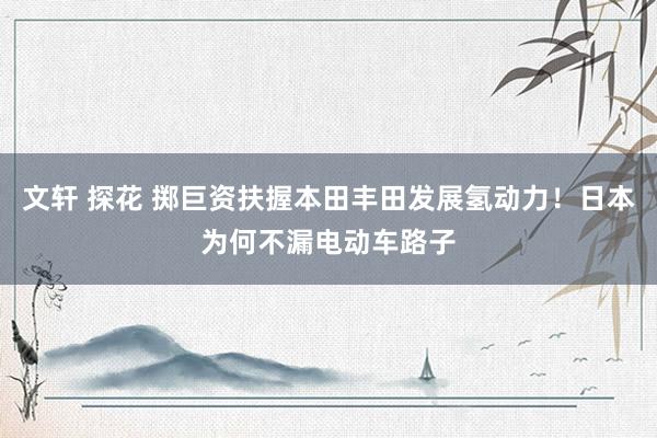 文轩 探花 掷巨资扶握本田丰田发展氢动力！日本为何不漏电动车路子