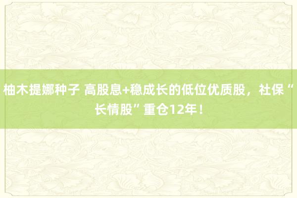 柚木提娜种子 高股息+稳成长的低位优质股，社保“长情股”重仓12年！