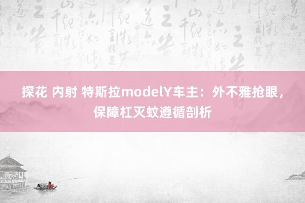 探花 内射 特斯拉modelY车主：外不雅抢眼，保障杠灭蚊遵循剖析