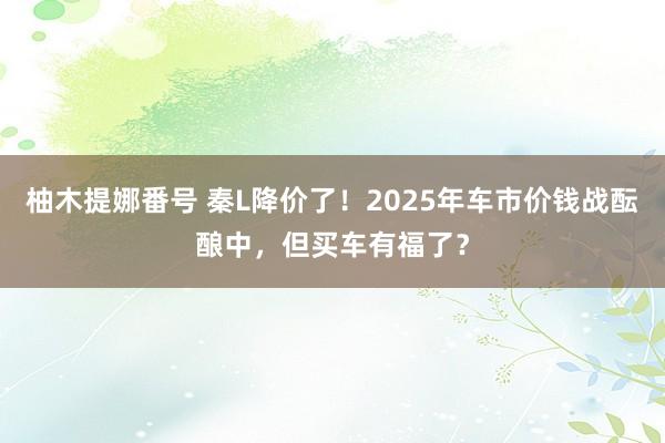 柚木提娜番号 秦L降价了！2025年车市价钱战酝酿中，但买车有福了？