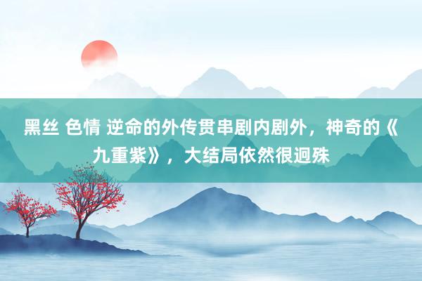 黑丝 色情 逆命的外传贯串剧内剧外，神奇的《九重紫》，大结局依然很迥殊