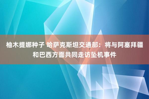 柚木提娜种子 哈萨克斯坦交通部：将与阿塞拜疆和巴西方面共同走访坠机事件