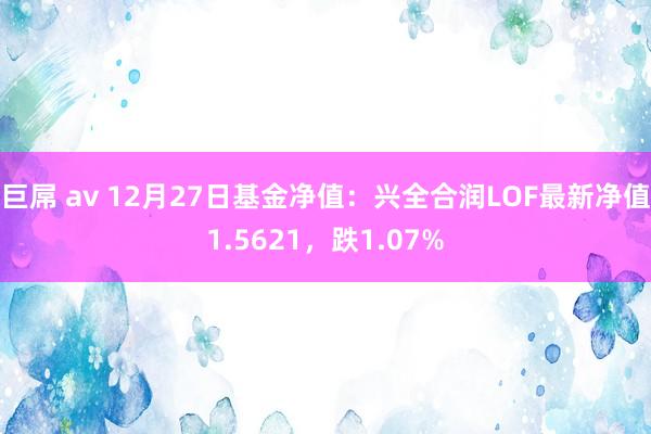 巨屌 av 12月27日基金净值：兴全合润LOF最新净值1.5621，跌1.07%