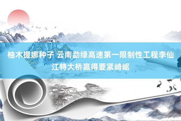 柚木提娜种子 云南勐绿高速第一限制性工程李仙江特大桥赢得要紧崎岖