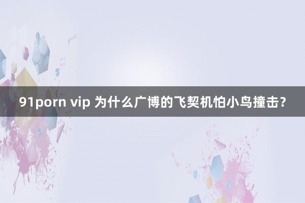 91porn vip 为什么广博的飞契机怕小鸟撞击？