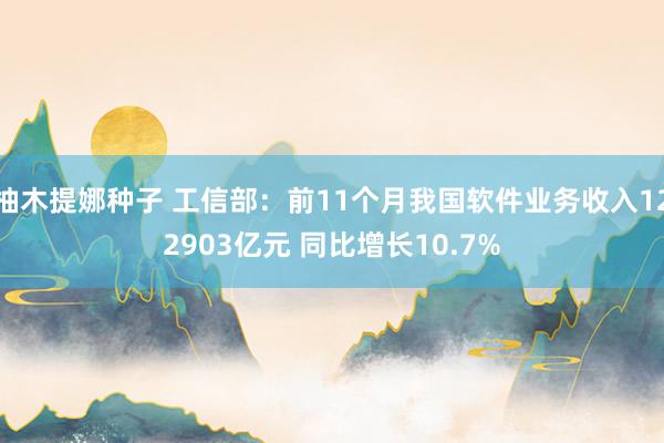 柚木提娜种子 工信部：前11个月我国软件业务收入122903亿元 同比增长10.7%