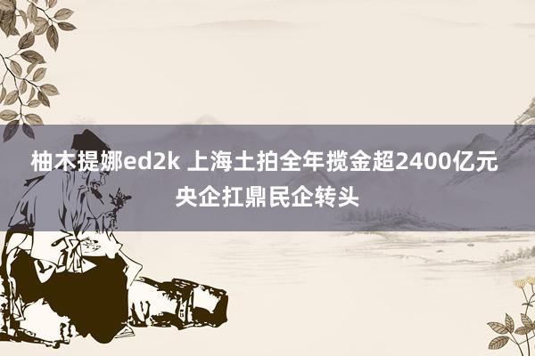 柚木提娜ed2k 上海土拍全年揽金超2400亿元 央企扛鼎民企转头