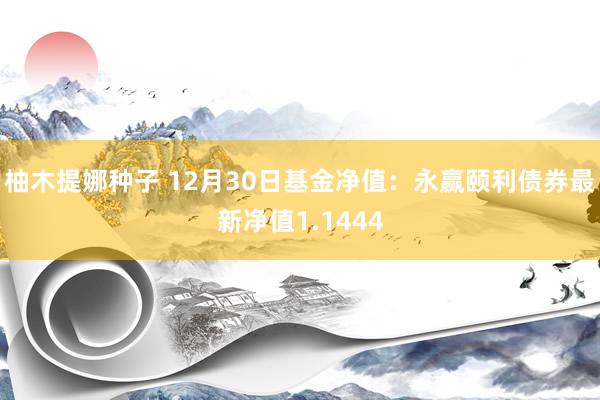 柚木提娜种子 12月30日基金净值：永赢颐利债券最新净值1.1444