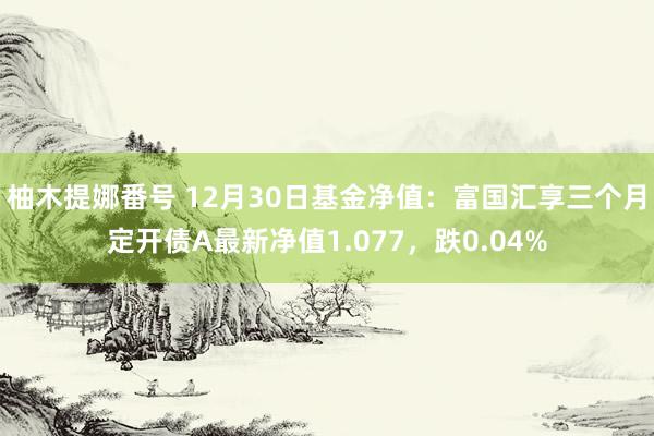 柚木提娜番号 12月30日基金净值：富国汇享三个月定开债A最新净值1.077，跌0.04%