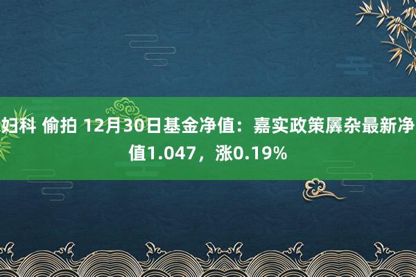 妇科 偷拍 12月30日基金净值：嘉实政策羼杂最新净值1.047，涨0.19%