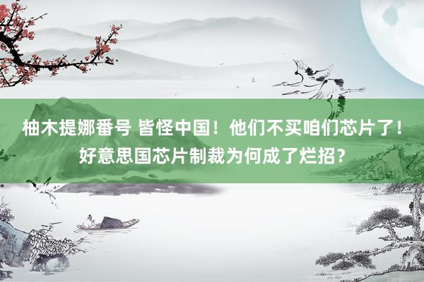 柚木提娜番号 皆怪中国！他们不买咱们芯片了！好意思国芯片制裁为何成了烂招？