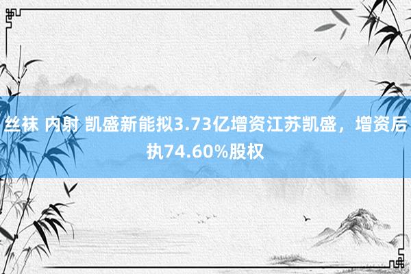 丝袜 内射 凯盛新能拟3.73亿增资江苏凯盛，增资后执74.60%股权