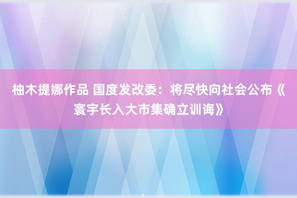 柚木提娜作品 国度发改委：将尽快向社会公布《寰宇长入大市集确立训诲》