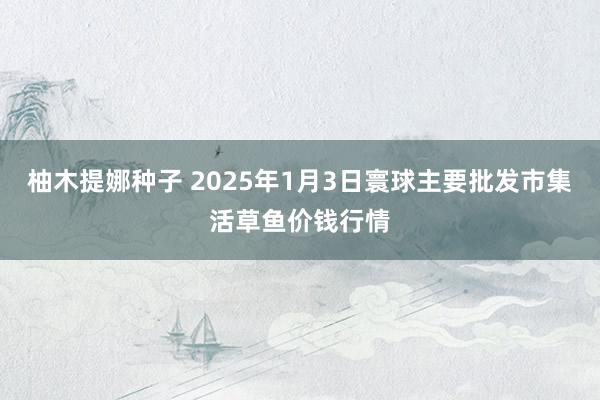 柚木提娜种子 2025年1月3日寰球主要批发市集活草鱼价钱行情