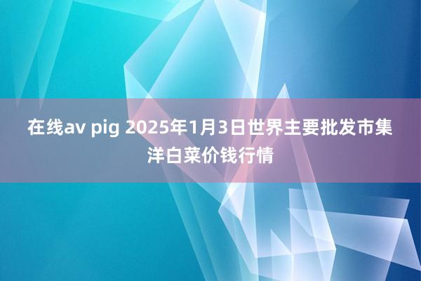 在线av pig 2025年1月3日世界主要批发市集洋白菜价钱行情