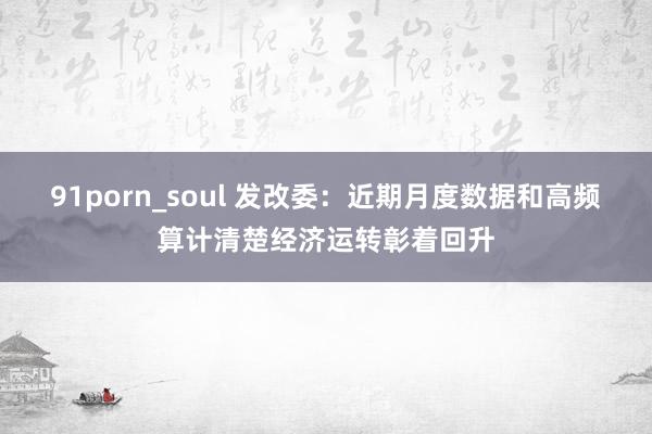 91porn_soul 发改委：近期月度数据和高频算计清楚经济运转彰着回升