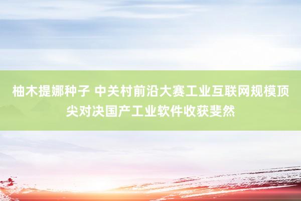 柚木提娜种子 中关村前沿大赛工业互联网规模顶尖对决国产工业软件收获斐然