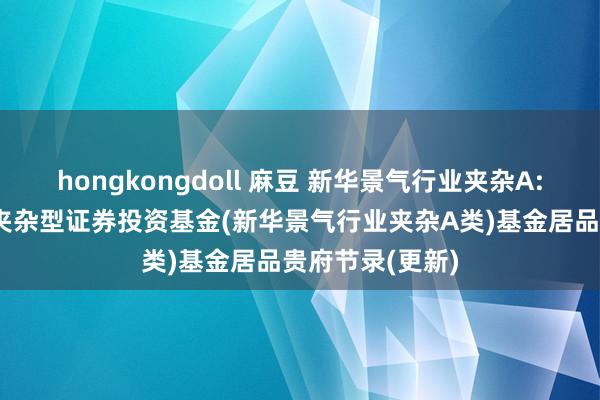 hongkongdoll 麻豆 新华景气行业夹杂A: 新华景气行业夹杂型证券投资基金(新华景气行业夹杂A类)基金居品贵府节录(更新)