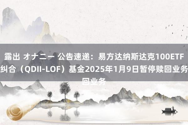 露出 オナニー 公告速递：易方达纳斯达克100ETF纠合（QDII-LOF）基金2025年1月9日暂停赎回业务