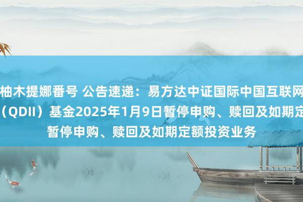 柚木提娜番号 公告速递：易方达中证国际中国互联网50ETF齐集（QDII）基金2025年1月9日暂停申购、赎回及如期定额投资业务