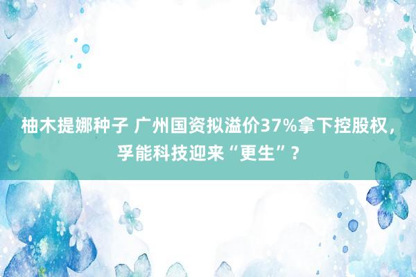 柚木提娜种子 广州国资拟溢价37%拿下控股权，孚能科技迎来“更生”？