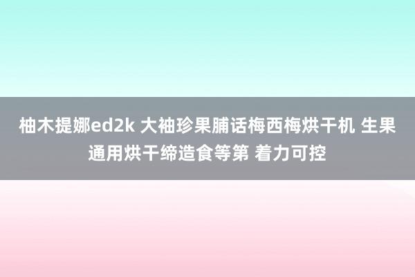 柚木提娜ed2k 大袖珍果脯话梅西梅烘干机 生果通用烘干缔造食等第 着力可控