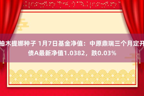 柚木提娜种子 1月7日基金净值：中原鼎瑞三个月定开债A最新净值1.0382，跌0.03%