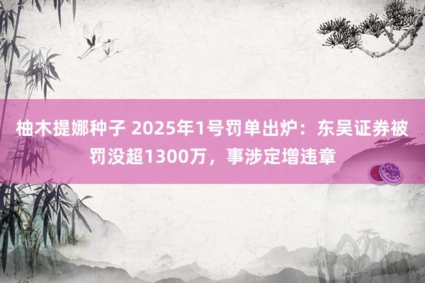 柚木提娜种子 2025年1号罚单出炉：东吴证券被罚没超1300万，事涉定增违章