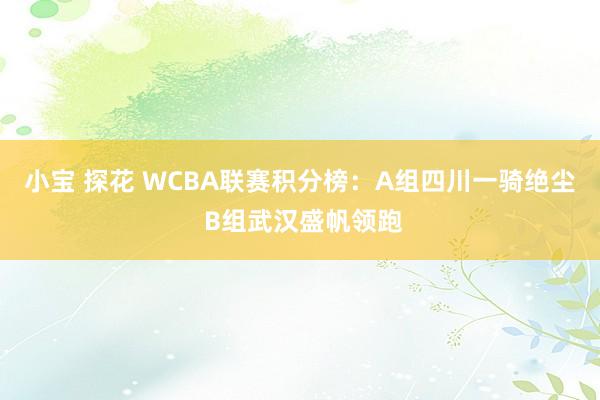 小宝 探花 WCBA联赛积分榜：A组四川一骑绝尘 B组武汉盛帆领跑