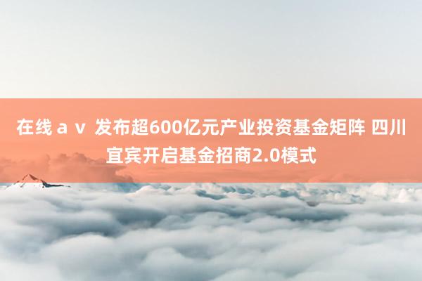 在线ａｖ 发布超600亿元产业投资基金矩阵 四川宜宾开启基金招商2.0模式