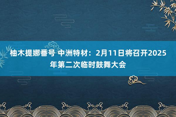 柚木提娜番号 中洲特材：2月11日将召开2025年第二次临时鼓舞大会