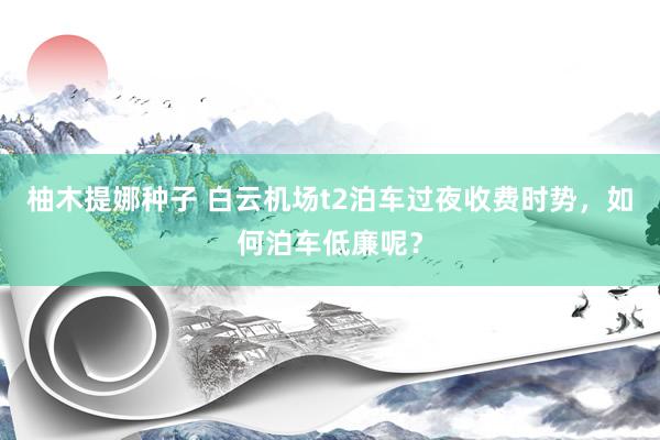 柚木提娜种子 白云机场t2泊车过夜收费时势，如何泊车低廉呢？