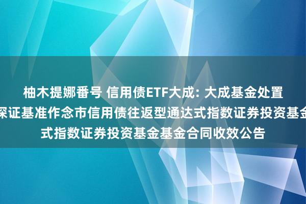 柚木提娜番号 信用债ETF大成: 大成基金处置有限公司对于大成深证基准作念市信用债往返型通达式指数证券投资基金基金合同收效公告