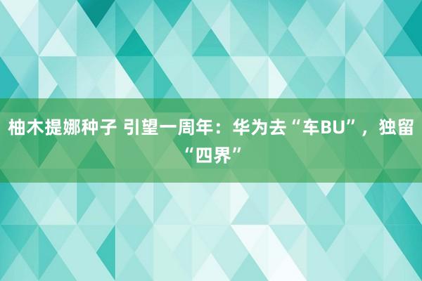 柚木提娜种子 引望一周年：华为去“车BU”，独留“四界”